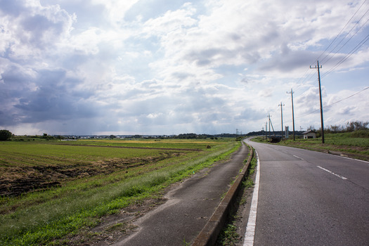 DSC00384