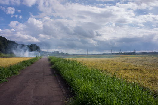 DSC00366