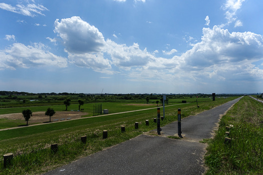 DSC08039