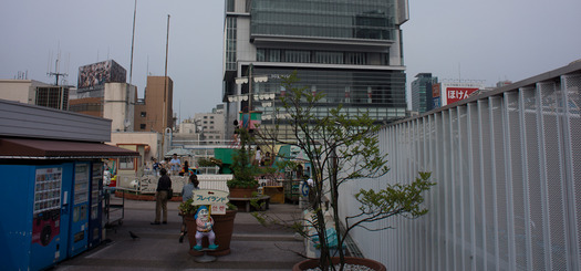 DSC06246