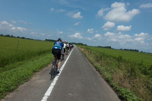 DSC00337 (1)