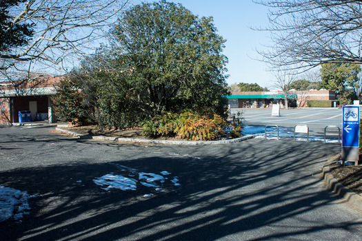 DSC09037