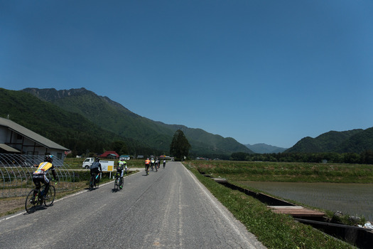 DSC00600
