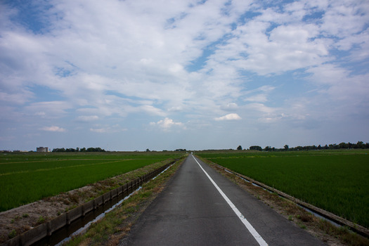 DSC08888