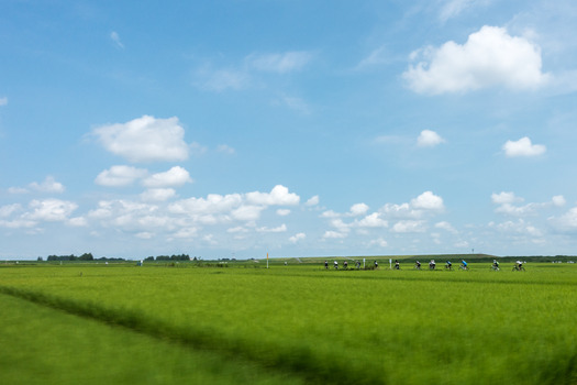 DSC00308 (1)