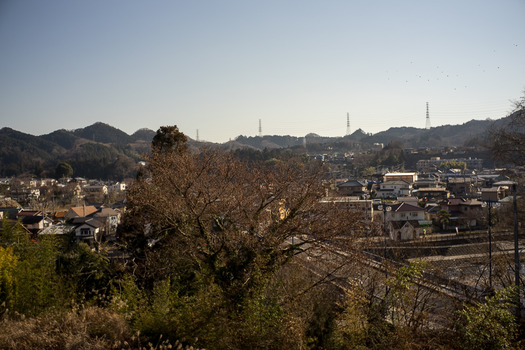 DSC09689