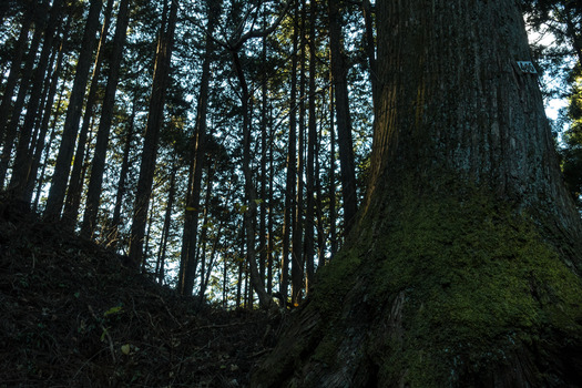DSC00878