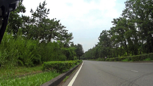 MP4_000256589