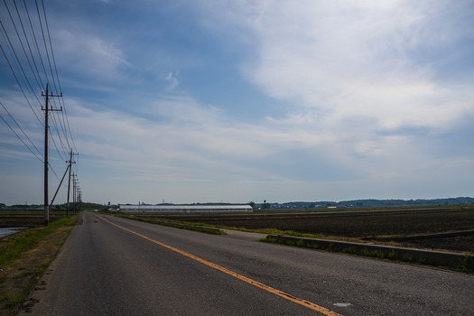 DSC06154