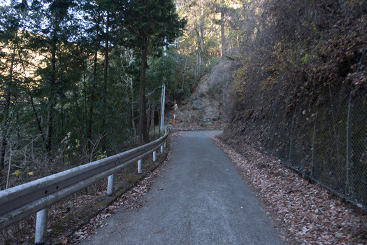 DSC00407