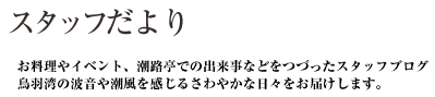 スタッフだより