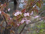 P1020834