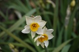 P1030641