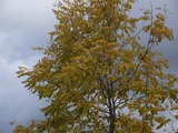 P1040345
