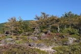 P1030480