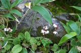 P1030162