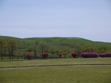 P1020639