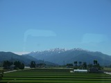 P1020919