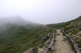 P1030107