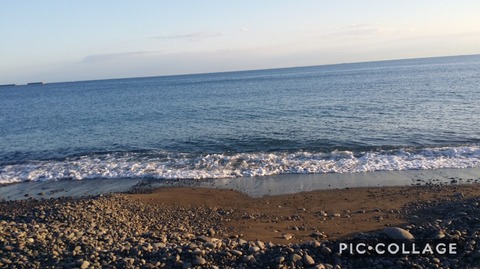 Collage 2018-07-12 20_27_17