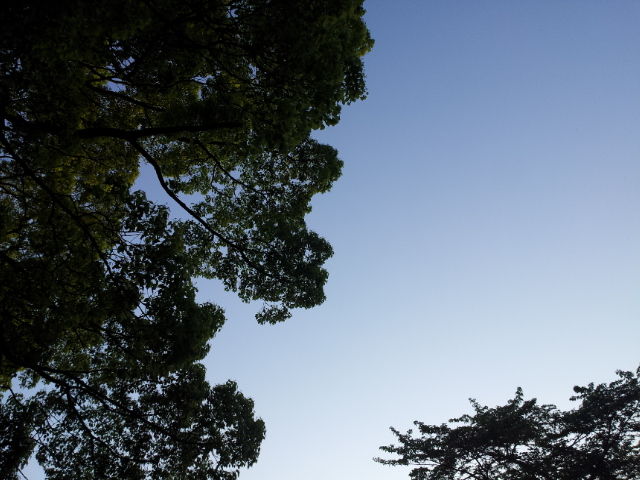 20130503_175551