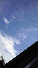 2be543f6.jpg