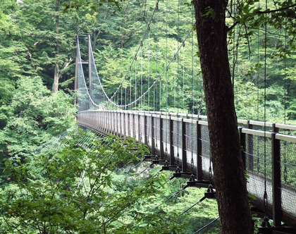 回顧の吊橋2