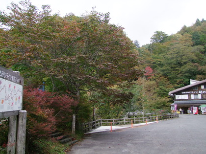 141008白滝3