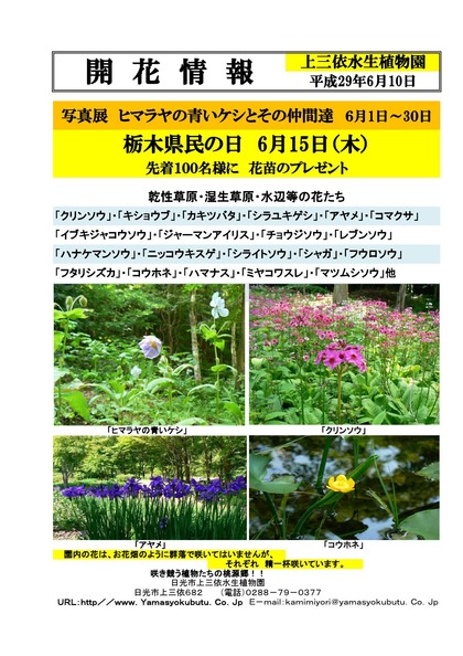 29年版 開花情報一般用_000001