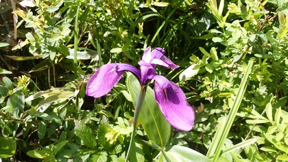 IMG_20160711_135114