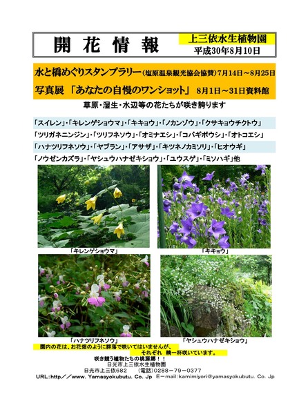 30年版 開花情報一般用 (3)_000001