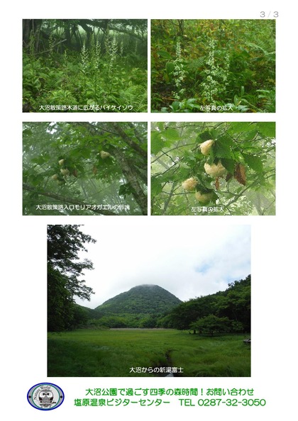 2018.06.18塩原温泉フィールド情報 (1)_000003