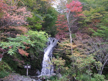 141008白滝2