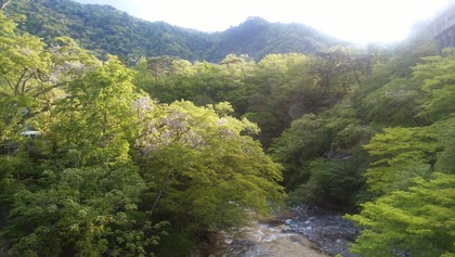IMG_20160512_063949