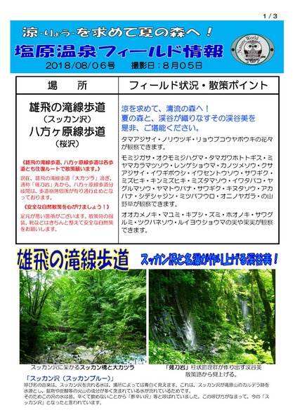 2018.08.06 塩原温泉フィールド情報_000001