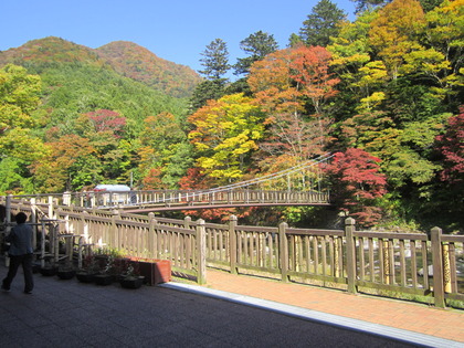 IMG_7986旧カメラ