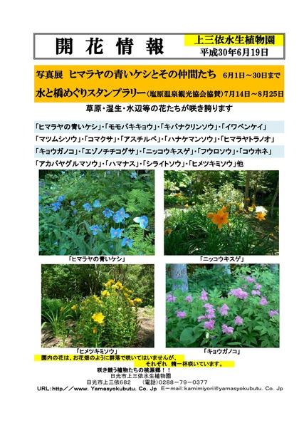 30年版 開花情報一般用_000001