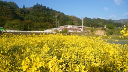 IMG_20160508_062000
