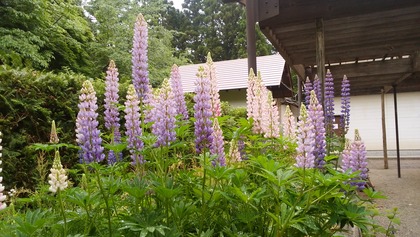 IMG_20160527_125826