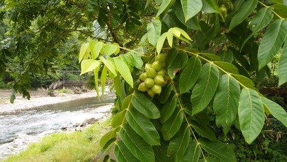 IMG_20160624_130143