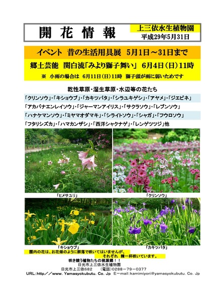 29年版 開花情報一般用 (1)_000001