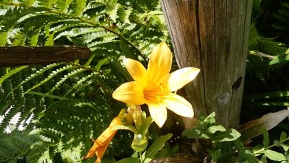 IMG_20160711_135121