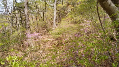 IMG_20160425_131521