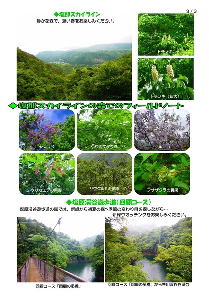 31 塩原温泉フィールド情報_000003