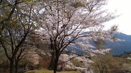 IMG_20160421_073150