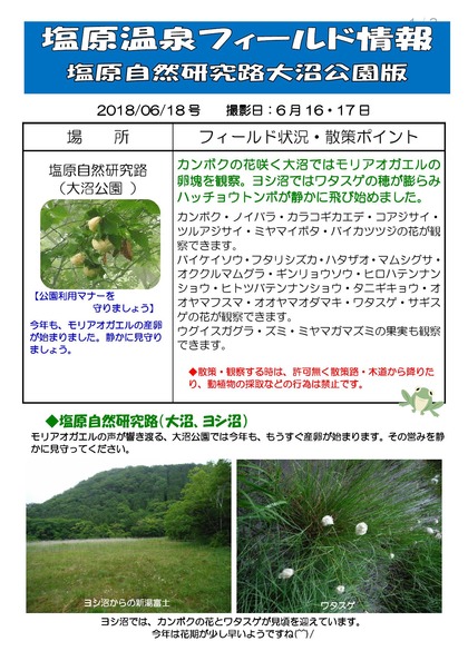 2018.06.18±ö¸¶²¹Àô¥Õ¥£¡¼¥ë¥É¾ðÊó (1)_000001