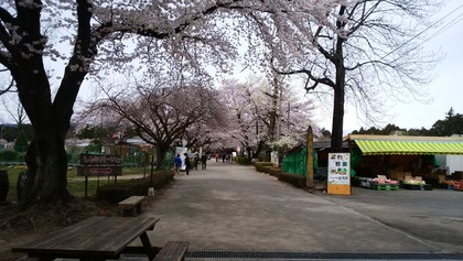 IMG_20160408_110803