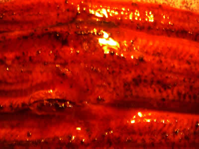 0b9954f5.jpg