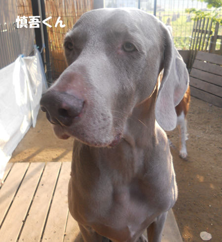 1108DSCN2044