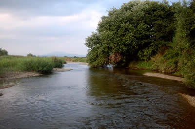 2dfc2f25.jpg